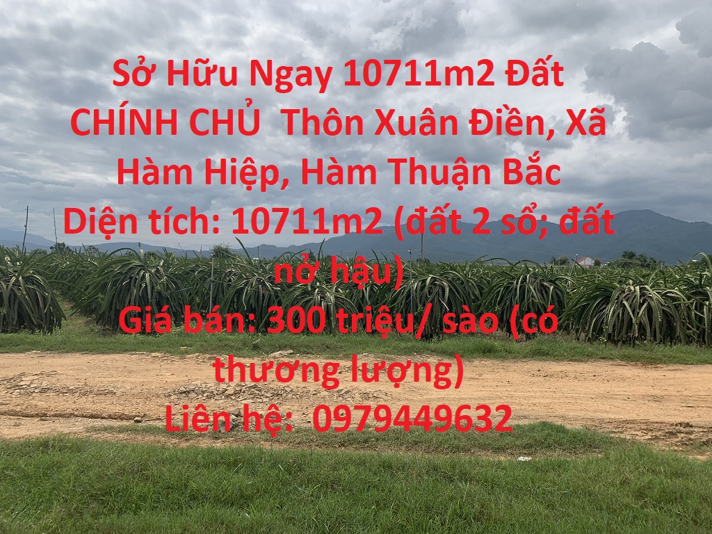 Sở Hữu Ngay 10711m2 Đất CHÍNH CHỦ  Thôn Xuân Điền, Xã Hàm Hiệp, Hàm Thuận Bắc - Ảnh chính
